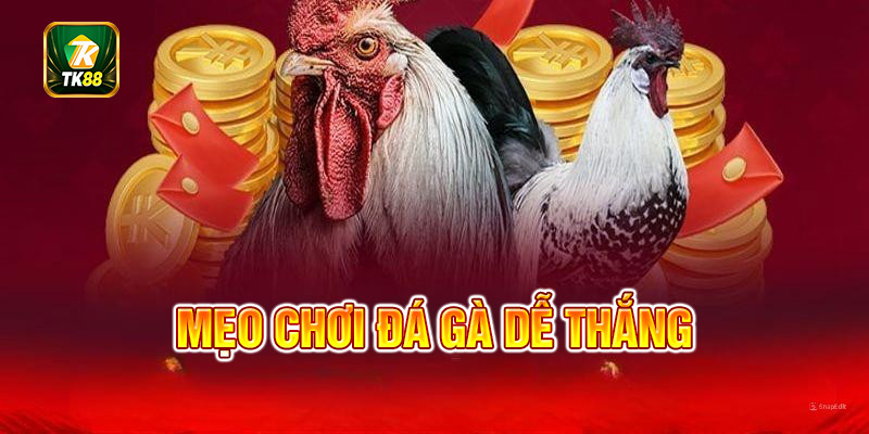 Mẹo chơi tăng khả năng chiến thắng tại tk88