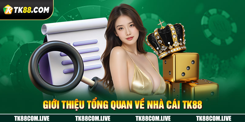 Giới Thiệu tổng quan về nhà cái tk88